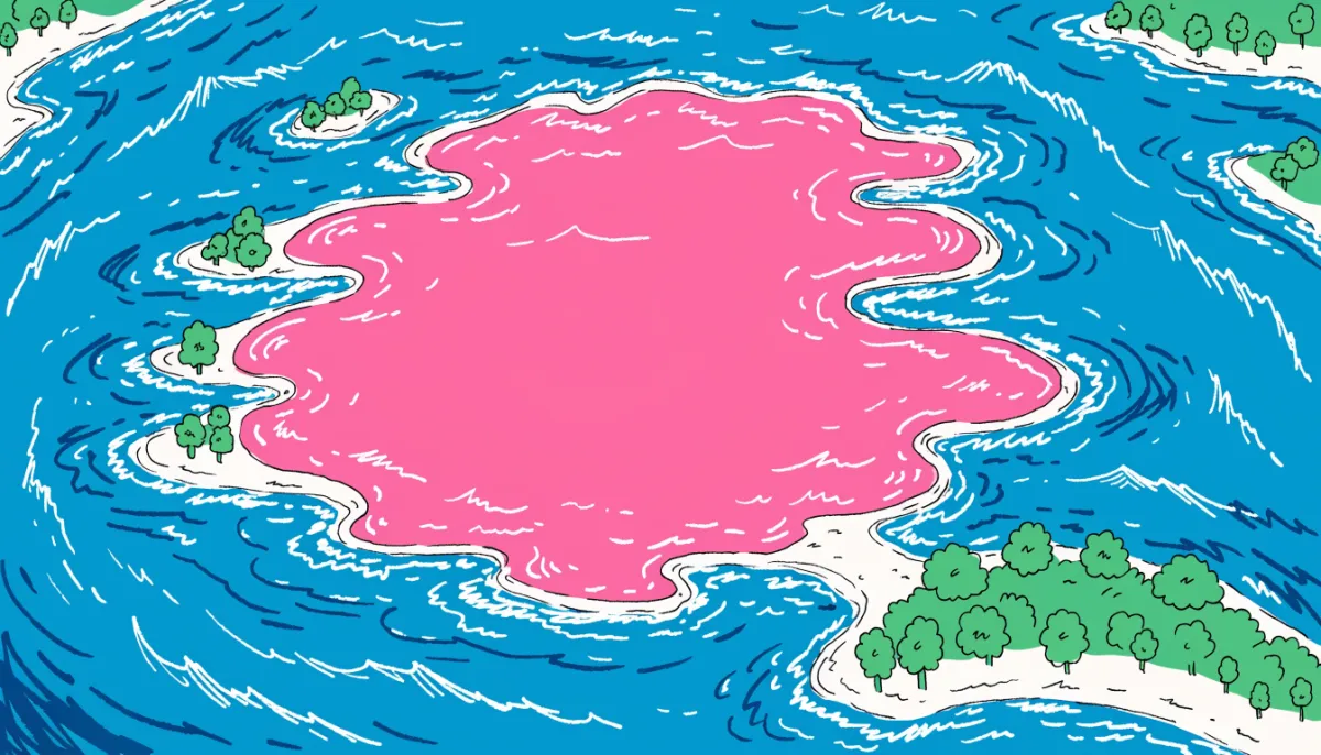 Bubblegum Dreams on Middle Island: My Flight Over Australia's Famous Pink Lake