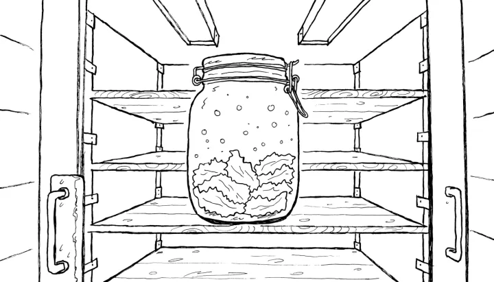 The Slow Rot That Tastes Like Tomorrow: Fermented Flavors Taking Over 2026 Dining